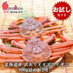 【お試しセット】お一人様1回限り 訳あり 活 オオズワイガニ 800g詰め（2尾入り）セット 翌日便 活ズワイガニ 活ずわいがに カニ通販 北海道産