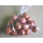 e Sharo to Belgium e Sharo to500g