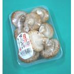 日常の一般野菜 生しいたけ 椎茸 1パック