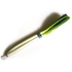  повседневный. в общем овощи белый лук порей лук-батун 1 пачка 1/2 разрезанный 