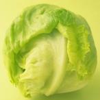  местного производства lettuce 1 коробка 8kg