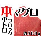 本マグロ（クロマグロ）中トロ約３００ｇブロック(蓄養マグロ)　