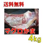 送料無料　大きさ規格外 特大マグロカマ ４ｋｇ【まぐろの貴重品】