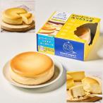 ビアードパパのベイクドチーズケーキ 1台