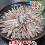 ホタルイカ ほたるいか 新物 A級品 2kg(250g×8パック) 送料無料 兵庫県産 生冷凍 限定 お刺身用 刺身 刺し身 生食 釣り いか イカ お取り寄せ グルメ ギフト