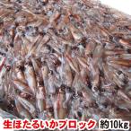 ホタルイカ ブロック 10kg 船内冷凍 送料無料,ホタルイカブロック約10kg【送料無料】業務用 刺身可
