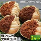 【24-127】茹でせこの甲羅盛り 4個入り(2箱セット) (冷凍)【セコガニ】【せこがに】【松葉ガニ】【松葉かに】【松葉ガニ雌】