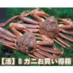 [21-101]B краб ( пара ..). краб ( сырой ) 2~3 шт коробка (1.2kg входить ) ( рефрижератор кроме того, рефрижератор ) [ сосна лист краб ][ сосна лист gani][... краб ][..]