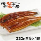 うなぎ 父の日 お中元 蒲焼き 特大