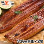 うなぎ 父の日 お中元 蒲焼き 特大サイズ 2尾 330g前後 土用 丑の日 鰻 お取り寄せ グルメ ウナギ ギフト 送料無料 誕生日祝 御祝 御礼 内祝 プレゼント