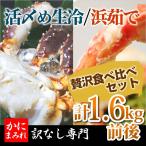 ショッピングタラバガニ タラバガニ脚 お得な食べ比べセット（活〆生冷＆ボイル2肩計1.6kg前後）最高品質フルシェイプ※足し脚（差し脚）による重量合わせ一切無し！