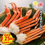 かに カニ 蟹 訳あり ずわいがに 肩付脚 1kg 脚 ズワイガニ ボイルずわいがに ボイルズワイガニ