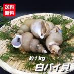  мотополиция .bai. мотополиция .1kg 9~13 шт Япония море производство Hyogo префектура столица . после свежий высококлассный ........si осел iechuubai. средний .. Special производство прямая поставка от производителя 