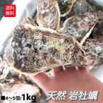 牡蠣 岩牡蠣 岩ガキ 2kg以上 220g以上 8〜10個 セット 生食用 岩がき 生牡蠣 殻開け無料 殻付き 天然 海のミルク 岩かき BBQ 海鮮 バーベキュー カキフライ