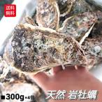 牡蠣 岩牡蠣 岩ガキ 1.2kg 300g台 4個 セット 生食用 岩がき 生牡蠣 殻開けサービス 無料 殻付き 天然 岩かき 海のミルク BBQ 海鮮 バーベキュー カキフライ