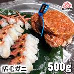 北海道産 活毛がに　500ｇ  中型　毛ガニの美味しさを味わうなら、未冷凍の活け毛蟹。カニ味噌 かに通販 カニお取り寄せ