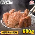 . четырёхугольный волосатый краб 600g большой Hokkaido производство шерсть .. тест .. вдоволь . шерсть .. прекрасный тест ... тест .. если, не рефрижератор ( рефрижератор ). шерсть . краб почтовый заказ краб ваш заказ четырёхугольный волосатый краб 