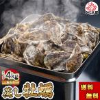 送料無料 牡蠣 がんがん蒸し 4kg前後(小型)殻付き 生牡蠣 北海道 カキ 一斗缶の半分のサイズ カンカン焼き 蒸し牡蠣 フライ サロマ湖産 かき