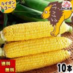 (送料無料) 生とうもろこし ライオンコーン 10本入り 北海道産スイートコーン ゴールドラッシュ ほしつぶコーン 生とうきびお取り寄せ
