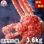 ショッピングタラバガニ 送料無料 活タラバガニ　オス　3.6kg~3.7kg　活けたらば蟹 かにお取り寄せ　活けたらばがに 生タラバ蟹・ボイルが選べます 生タラバ蟹  活蟹
