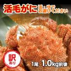  шерсть ..... четырёхугольный волосатый краб Hokkaido производство рефрижератор есть перевод 1 хвост (1.0kg передний и задний (до и после) )