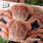 訳あり 活毛ガニ 北海道産 冷蔵 500g前後 3尾セット 活き 未冷凍 活 ギフト 送料無料 毛ガニ 毛蟹 毛カニ カニ