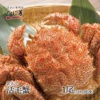 毛蟹 けがに 活毛ガニ 北海道産 冷蔵 訳あり 1尾 500g前後 沖縄のみ送料520円