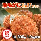  шерсть ..... четырёхугольный волосатый краб Hokkaido производство рефрижератор есть перевод 1 хвост (800g-1kg передний и задний (до и после) )