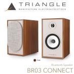 TRIANGLE активные аудиоколонки BR03 CONNECT( пара )OAK Bluetooth/HDMI/fono предусилитель встроенный 