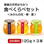 ショッピングはちみつ はちみつ3種セット120g×3本（みかんの花・春・夏）