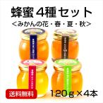 はちみつ4種セット120g×4本 （みかんの花・春・夏・秋）