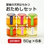 蜂蜜お試し50g×６本（みかん・春・