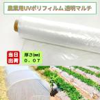 農業用ポリフィルムUV 透明マルチ 厚0.07mm 幅300cm(W