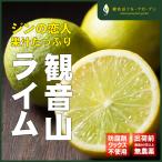国産ライムジンの恋人A級1kg和歌...