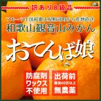 【期間限定30％OFF割引中！】観音山みかん おてんば娘 訳ありB級品 ご家庭用 10kg 和歌山県産温州みかん 観音山フルーツガーデン 送料無料