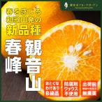 春峰 ハルカゼ B級 8kg 和歌山 観音山フルーツガーデン 送料無料