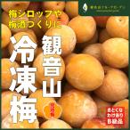  рефрижератор слива есть перевод B класса товар Wakayama префектура производство .. слива большой маленький смешивание 5kg. звук гора фрукты сад бесплатная доставка 