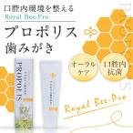 はちみつ 蜂蜜 ハチミツ プロポリス 歯磨き粉 100g 歯みがき はちみつ専門店 かの蜂