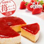 苺チーズケーキ 送料無料 期間限定 