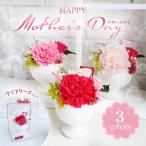 カーネーション プリザーブドフラワー フラワーギフト  贈り物  プレゼント 母の日 ピッコロ mother 's day 83