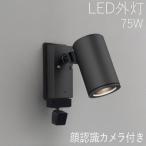 スポットライト 屋外 照明 ガーデンライト LED 外灯 顔識別カメラ付き 防犯カメラ 玄関 アプローチ 外構 おしゃれ 防雨 ブラック 100V