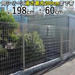  сетка забор сетчатый забор steel забор корпус 1 листов T60 высота 60cm простой сетка забор 2 сетка 2