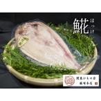  северный однопёрый терпуг. открытие высушенный ( большой ) 1 листов 