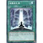 韓国版　遊戯王 暗黒界の門 【ノーマル】SD21-KR022