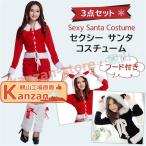 クリスマス 飾り クリスマスツリー サンタ 3点セット レディース 2色 フリーサイズ | サンタクロース コスプレ サンタコス コスチューム