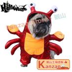  кошка одежда собака. одежда Halloween краб . осень одежда зима одежда для собака одежда вечеринка костюмированная игра кошка одежда собака одежда футболка собака сопутствующие товары товары для домашних животных маленький размер собака 