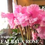  аромат цикламен персидский HARIO sfaru роза rose 5 номер горшок размер растение в горшке цветок цветок цветочный горшок подарок подарок подарок . день рождения подарок по случаю конца года . лет . Рождество 