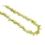  хула pakalana Ray незначительный желтый FL231