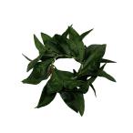 Aloha мой re темно-зеленый breath /FB72