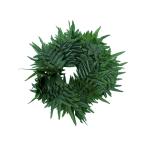lauae мех nda bulb отсутствует Laua'e Fern double bracelet/FB73